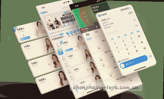 视觉焦点：卡片内容精准标识