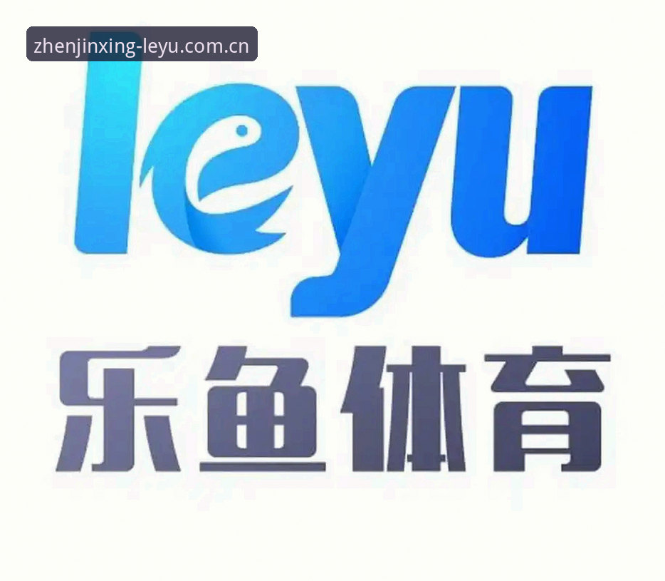乐鱼体育平台真玩尽兴登录通道完整使用指南：从下载到稳定观赛的每一步